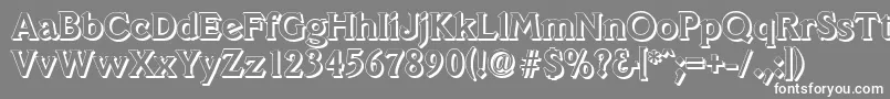VeracruzshadowBold Font – White Fonts on Gray Background