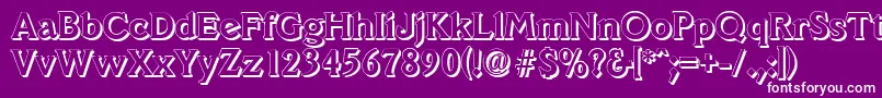 VeracruzshadowBold Font – White Fonts on Purple Background