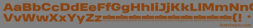 HeadingProWideHeavyTrial Font – Brown Fonts on Gray Background
