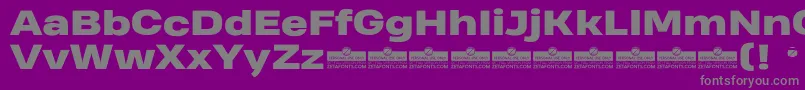 Police HeadingProWideHeavyTrial – polices grises sur fond violet