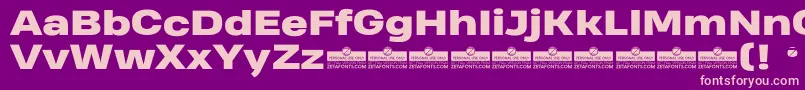 HeadingProWideHeavyTrial Font – Pink Fonts on Purple Background