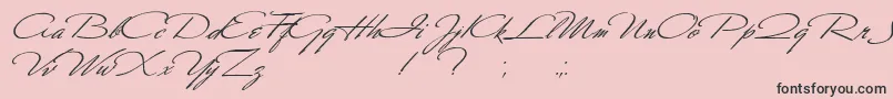 フォントScharnhorst – ピンクの背景に黒い文字