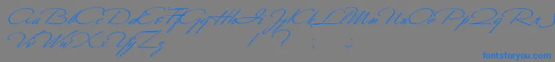 フォントScharnhorst – 灰色の背景に青い文字