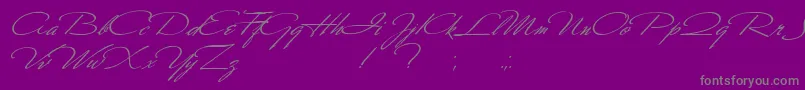 フォントScharnhorst – 紫の背景に灰色の文字
