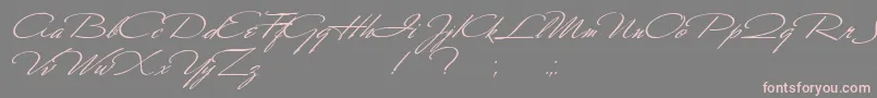 Scharnhorst Font – Pink Fonts on Gray Background