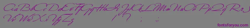 Scharnhorst Font – Purple Fonts on Gray Background