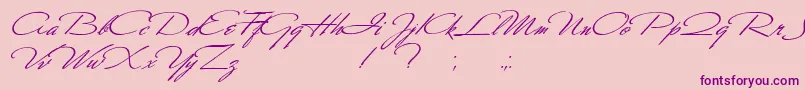 Шрифт Scharnhorst – фиолетовые шрифты на розовом фоне
