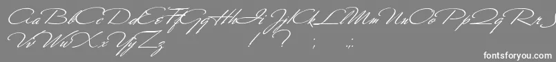 フォントScharnhorst – 灰色の背景に白い文字