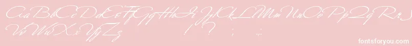 フォントScharnhorst – ピンクの背景に白い文字