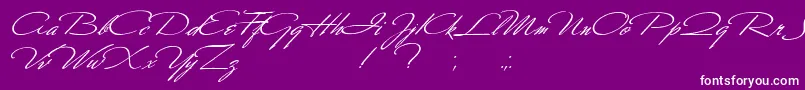 フォントScharnhorst – 紫の背景に白い文字