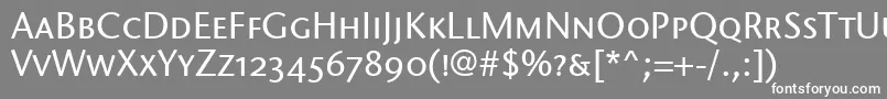 StoneSansScItcTtMedium Font – White Fonts on Gray Background