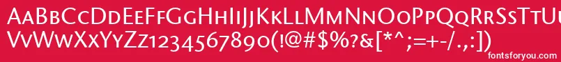 フォントStoneSansScItcTtMedium – 赤い背景に白い文字