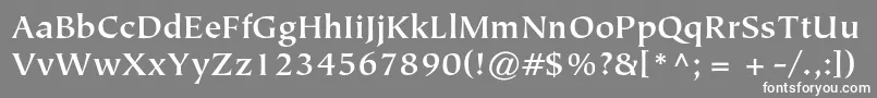 TiepolostdBold Font – White Fonts on Gray Background