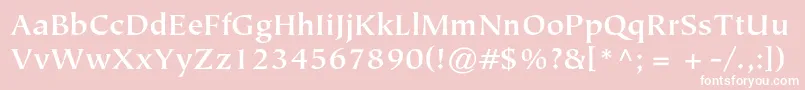 TiepolostdBold-Schriftart – Weiße Schriften auf rosa Hintergrund