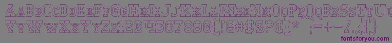 WinslettHollow Font – Purple Fonts on Gray Background