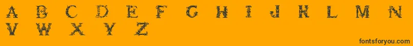 Britishmuseum Font – Black Fonts on Orange Background