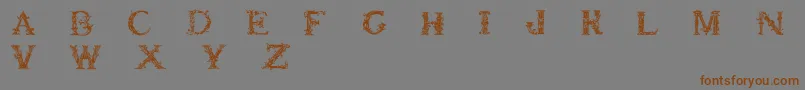 Britishmuseum Font – Brown Fonts on Gray Background