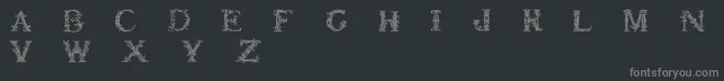 Britishmuseum Font – Gray Fonts on Black Background