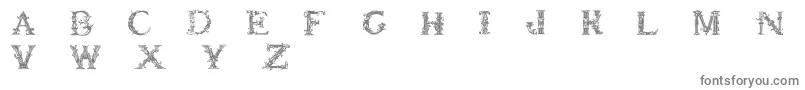 Britishmuseum Font – Gray Fonts on White Background