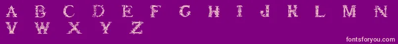 Britishmuseum Font – Pink Fonts on Purple Background