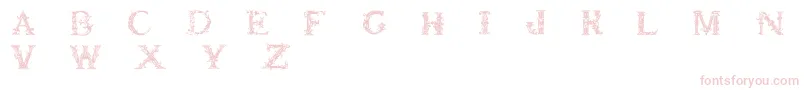 Britishmuseum Font – Pink Fonts on White Background