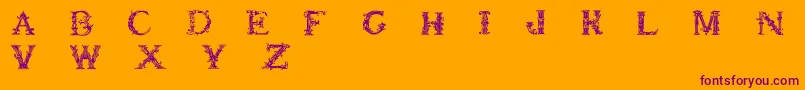 Britishmuseum Font – Purple Fonts on Orange Background