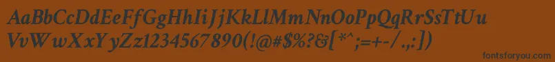 CrimsonTextBoldItalic Font – Black Fonts on Brown Background