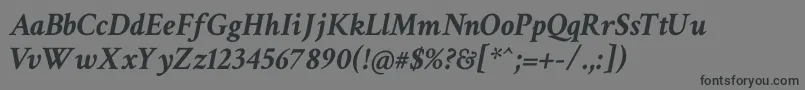 CrimsonTextBoldItalic Font – Black Fonts on Gray Background