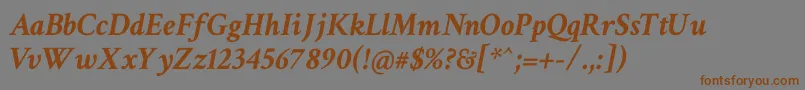 CrimsonTextBoldItalic Font – Brown Fonts on Gray Background