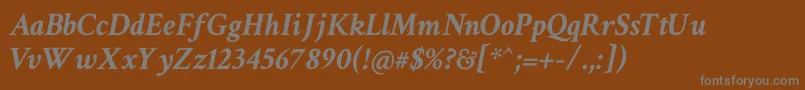 CrimsonTextBoldItalic Font – Gray Fonts on Brown Background