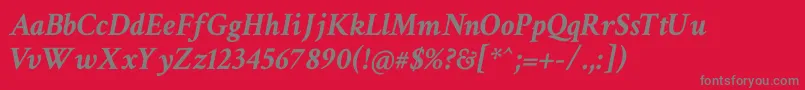 フォントCrimsonTextBoldItalic – 赤い背景に灰色の文字