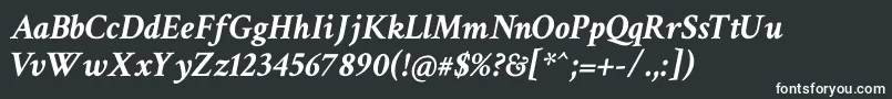 フォントCrimsonTextBoldItalic – 黒い背景に白い文字
