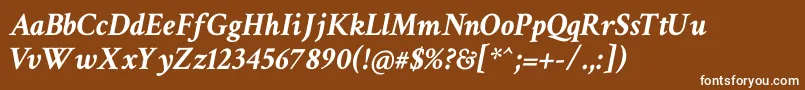 CrimsonTextBoldItalic Font – White Fonts on Brown Background