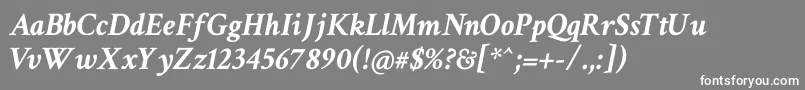 CrimsonTextBoldItalic Font – White Fonts on Gray Background