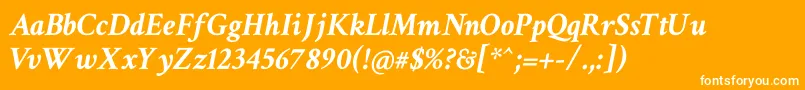 CrimsonTextBoldItalic Font – White Fonts on Orange Background