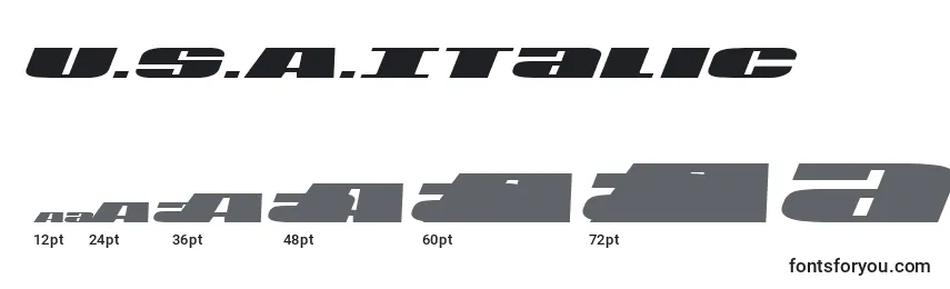 U.S.A.Italic Font Sizes