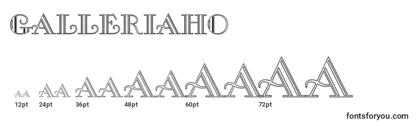 GalleriaHo Font Sizes