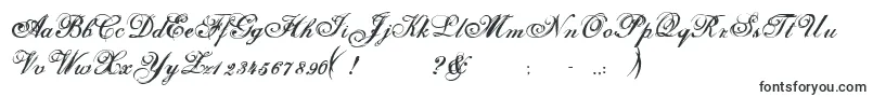 Шрифт Selfish – каллиграфические шрифты