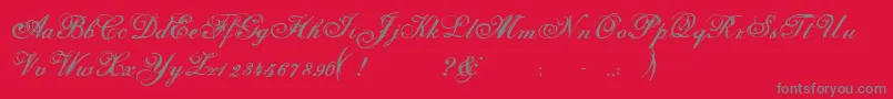 Selfish-Schriftart – Graue Schriften auf rotem Hintergrund