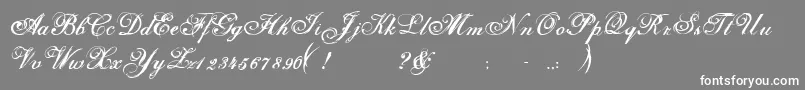 フォントSelfish – 灰色の背景に白い文字