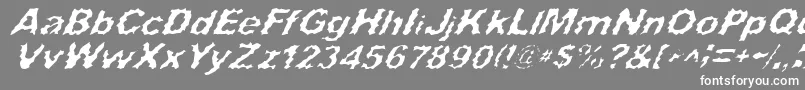 フォントSurfPunxItalic – 灰色の背景に白い文字