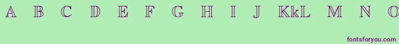 EuclidMathTwo Font – Purple Fonts on Green Background