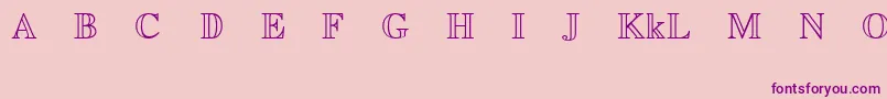 EuclidMathTwo Font – Purple Fonts on Pink Background
