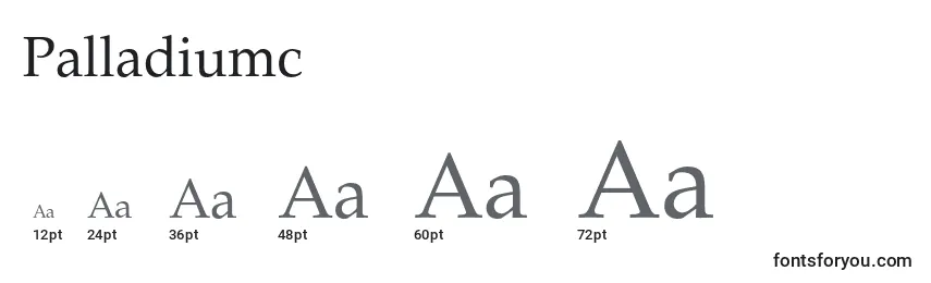 Размеры шрифта Palladiumc