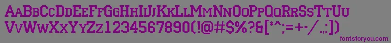 ACampuscaps Font – Purple Fonts on Gray Background