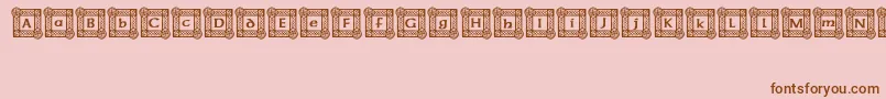 IrishBlessing Font – Brown Fonts on Pink Background