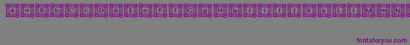 IrishBlessing Font – Purple Fonts on Gray Background