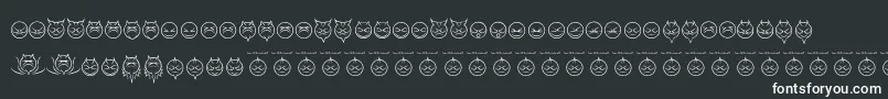 SomedevilfacesRegular Font – White Fonts on Black Background