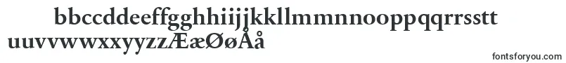 SabonnextLtBold Font – Danish Fonts