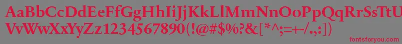 SabonnextLtBold Font – Red Fonts on Gray Background